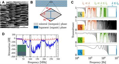 Bioinspired acoustic metamaterials: From natural designs to optimized structures
